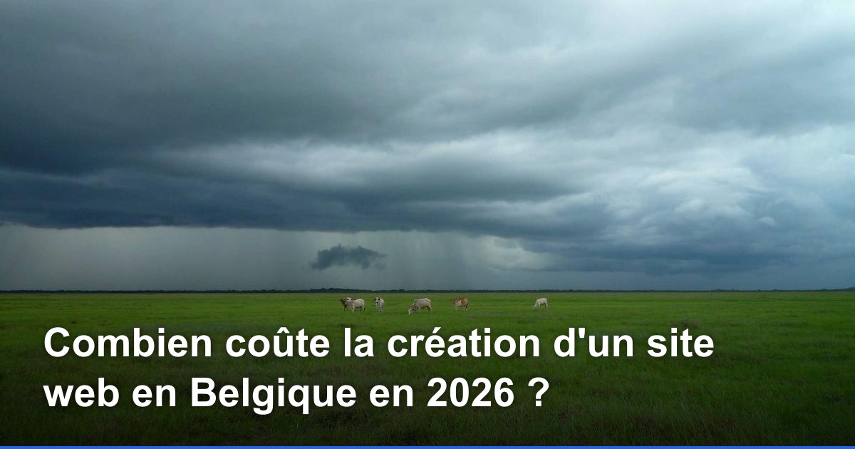 Combien coûte la création d'un site web en Belgique en 2026 ?