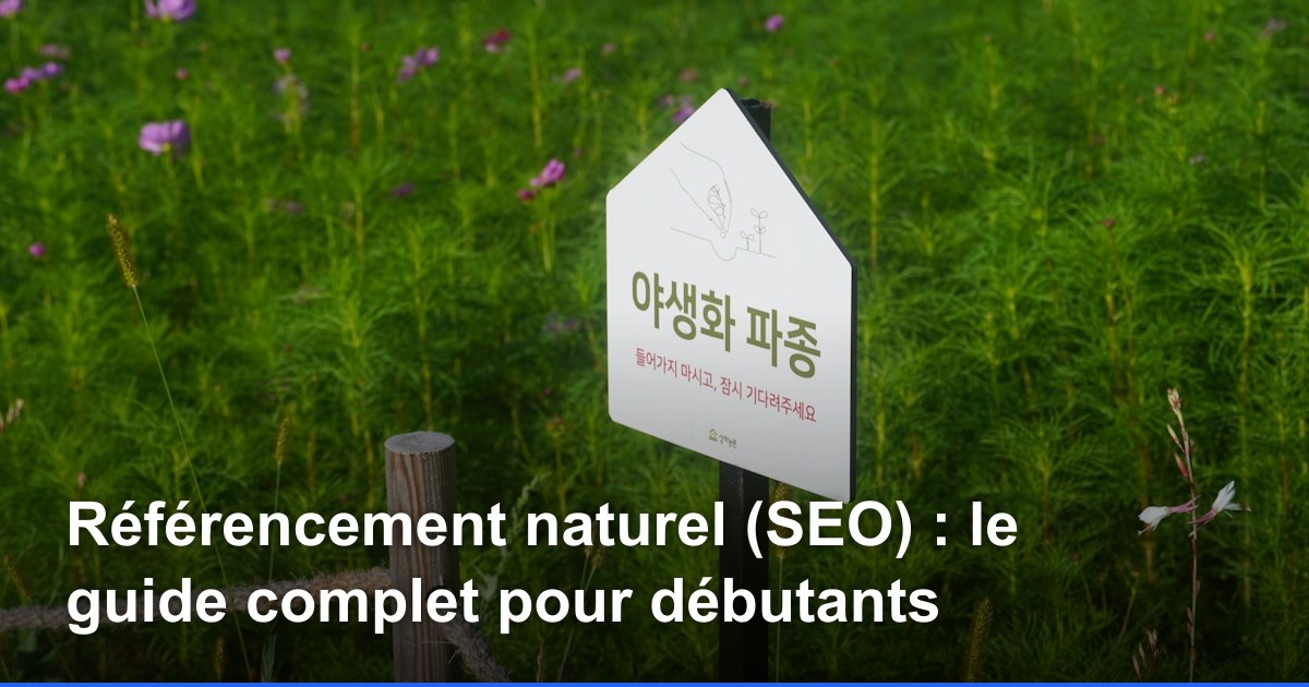 Référencement naturel (SEO) : le guide complet pour débutants
