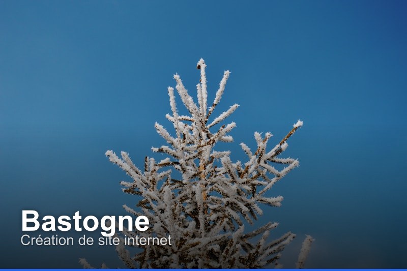 Création de site internet à Bastogne, Belgique - Trouvez un professionnel