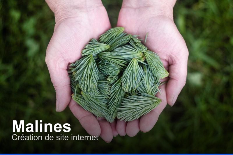 Création de site internet à Malines, Belgique - Trouvez un professionnel