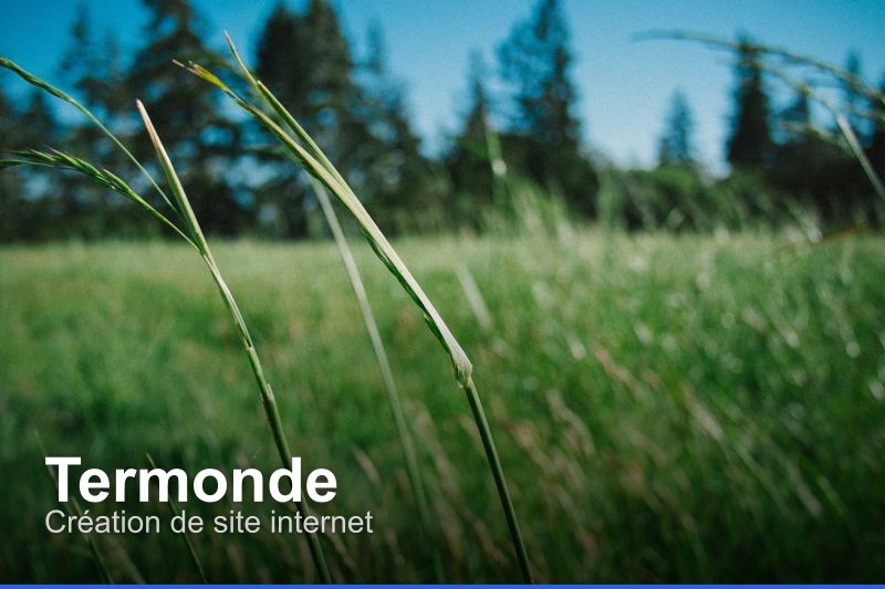 Création de site internet à Termonde, Belgique - Trouvez un professionnel